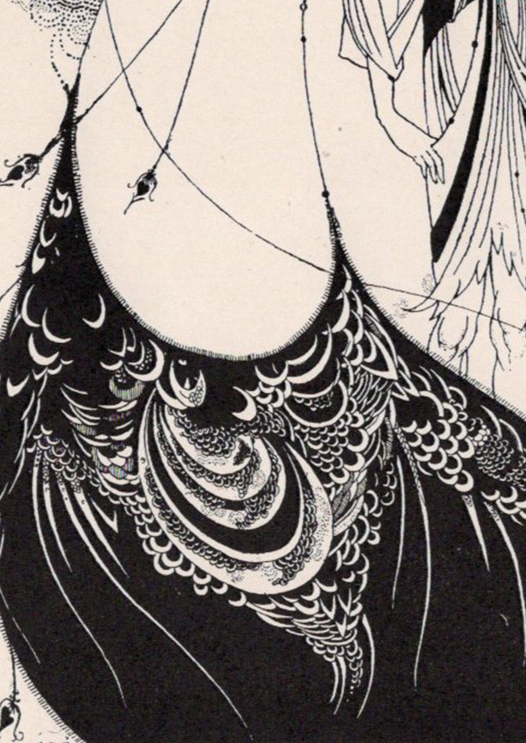 オーブリー・ビアズリーの挿絵 ≪孔雀の裾≫ 『サロメ』衣装デザイン拡大図