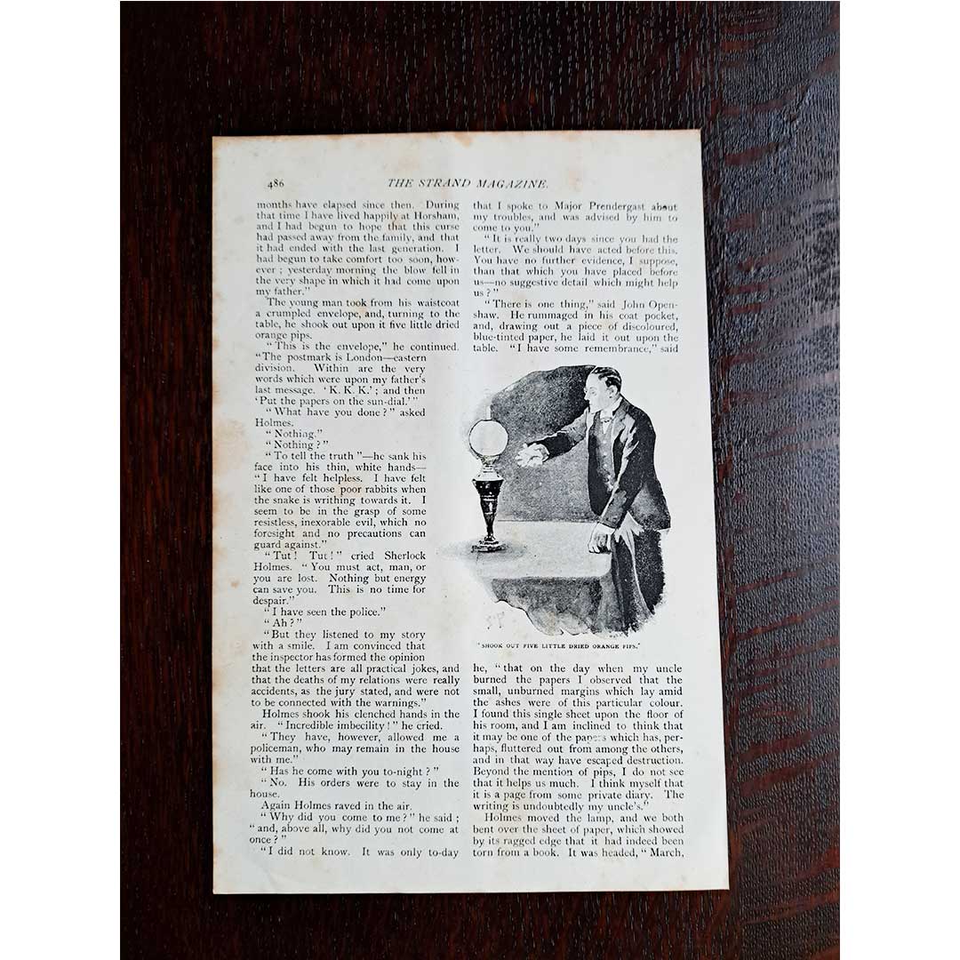 シャーロック・ホームズ《オレンジの種五つ》(どういう意味だ?)/シドニー・パジェット(1891年)