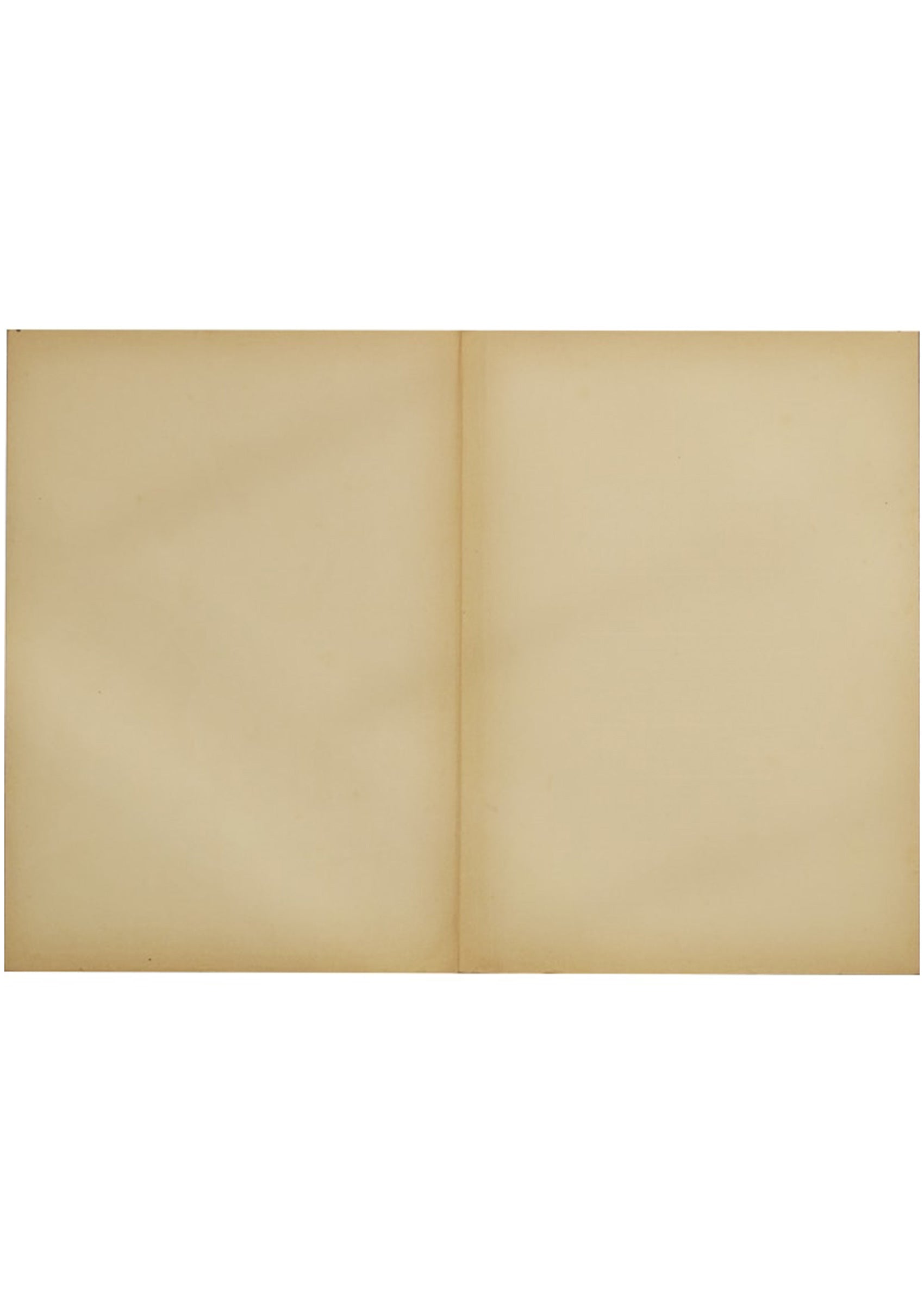 Alphonse Mucha <Photographic Art No. 10 Portfolio> Original Portfolio 1900