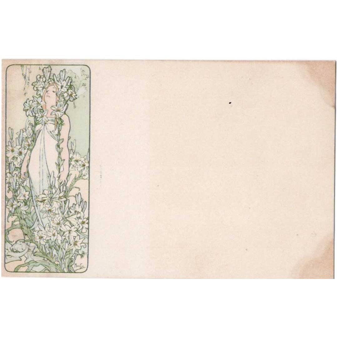 アルフォンス・ミュシャ ≪百合―四つの花≫ 1900年 アンティーク絵はがき