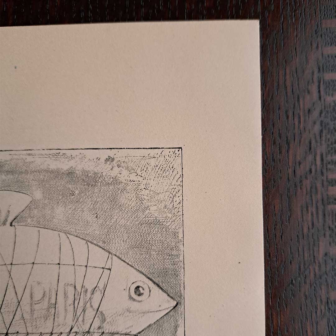 Albert Robida, "The General Company's Airship 'Aeronef'" from "The 20th Century"