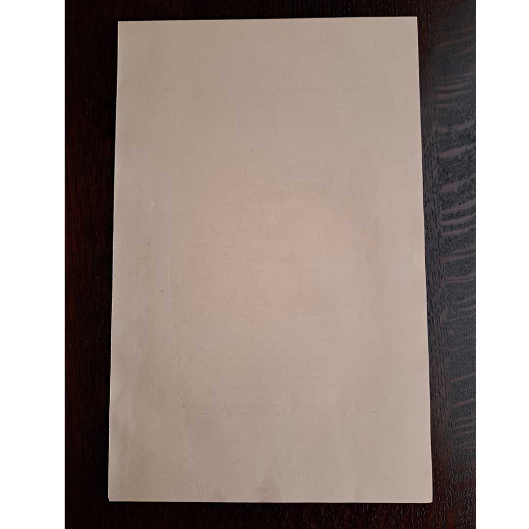 Albert Robida, "The General Company's Airship 'Aeronef'" from "The 20th Century"