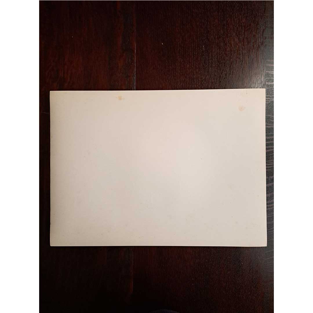 Sèvres soft-paste porcelain "Exceptional decoration" plate No. 14