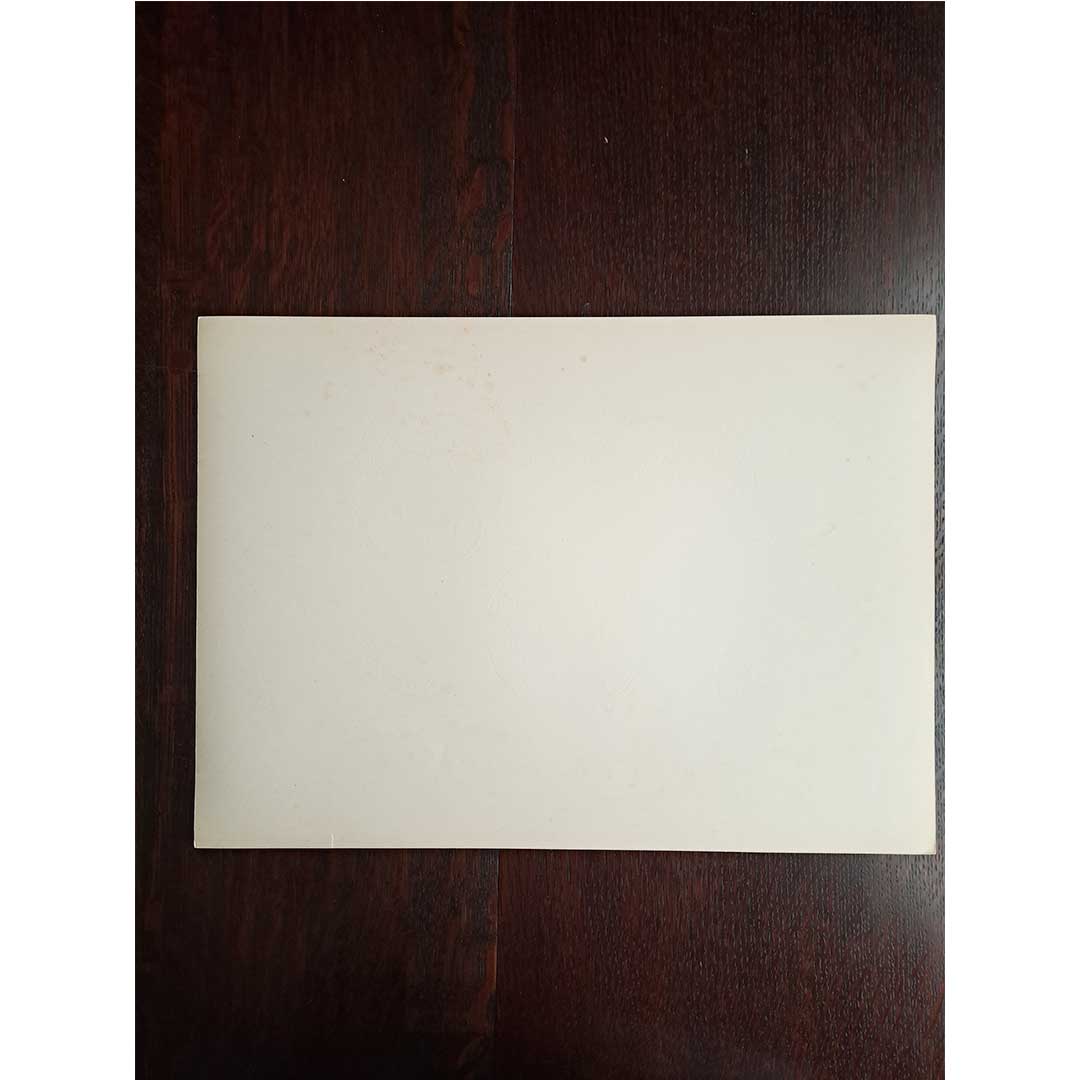 Sèvres soft porcelain "Demi-tasse cup and saucer" (rose pattern) Plate No. 15