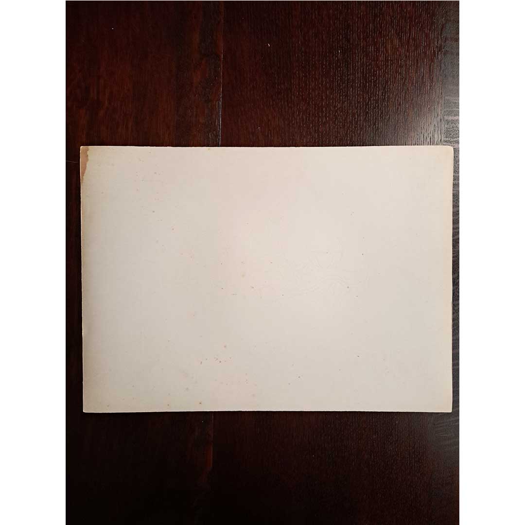 Sèvres soft porcelain "Stationery case given by Louis XVI to Marie Antoinette" Plate No. 50