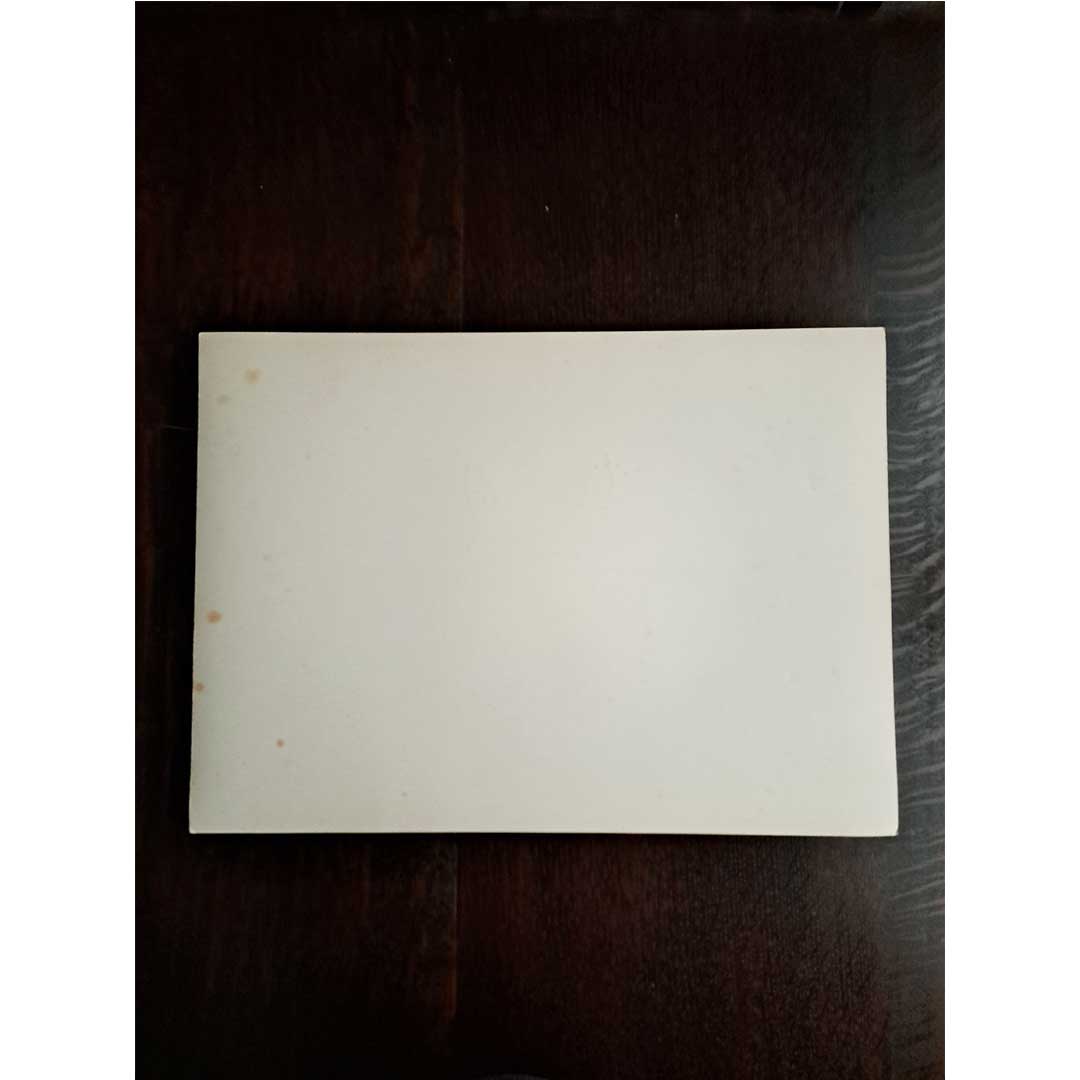 セーブルの軟質磁器「食器セット」プレートNo.9