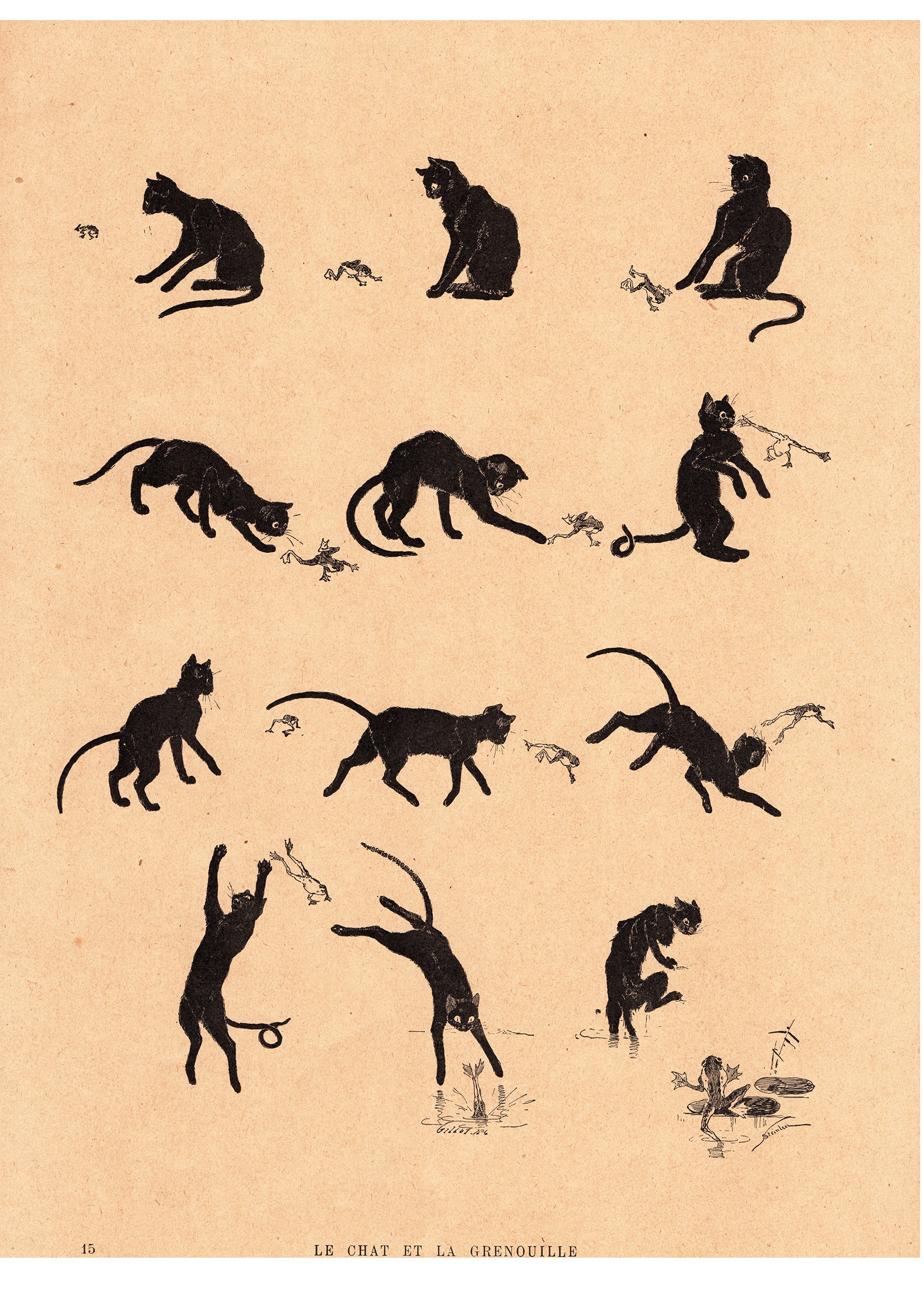 テオフィル・スタンラン ≪黒猫とカエル≫スキャン画像