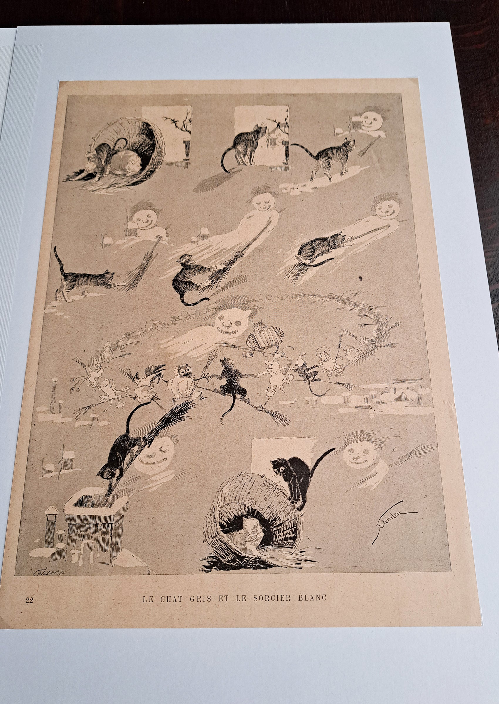 スタンラン ≪グレーの猫と白い魔術師≫ 1898年 『猫たち』より俯瞰写真