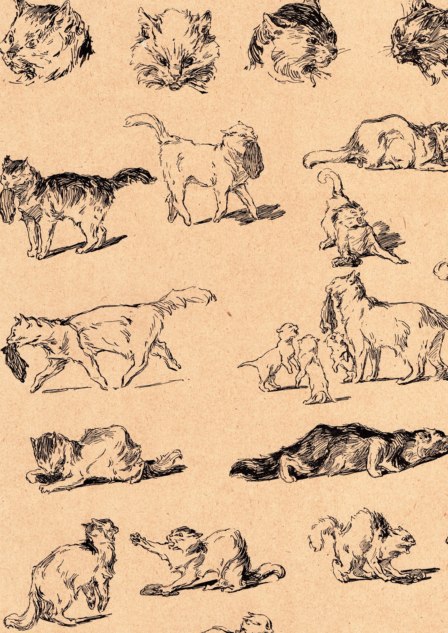 スタンラン ≪猫たちの鳴き声≫ 1898年 『猫たち』より拡大図前半