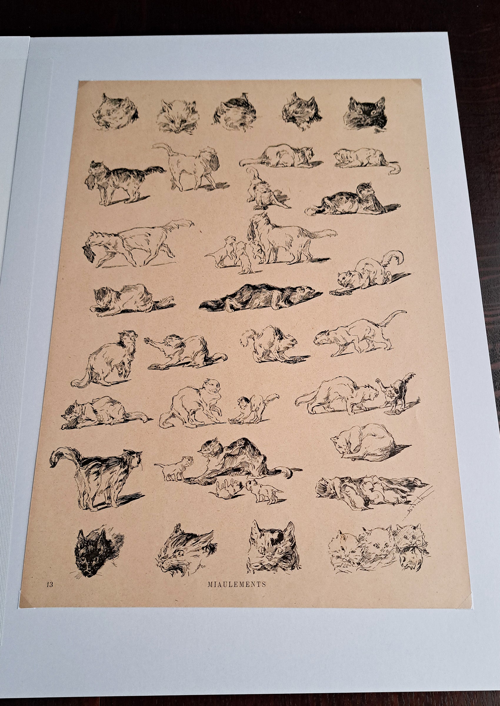 スタンラン ≪猫たちの鳴き声≫ 1898年 『猫たち』より俯瞰写真