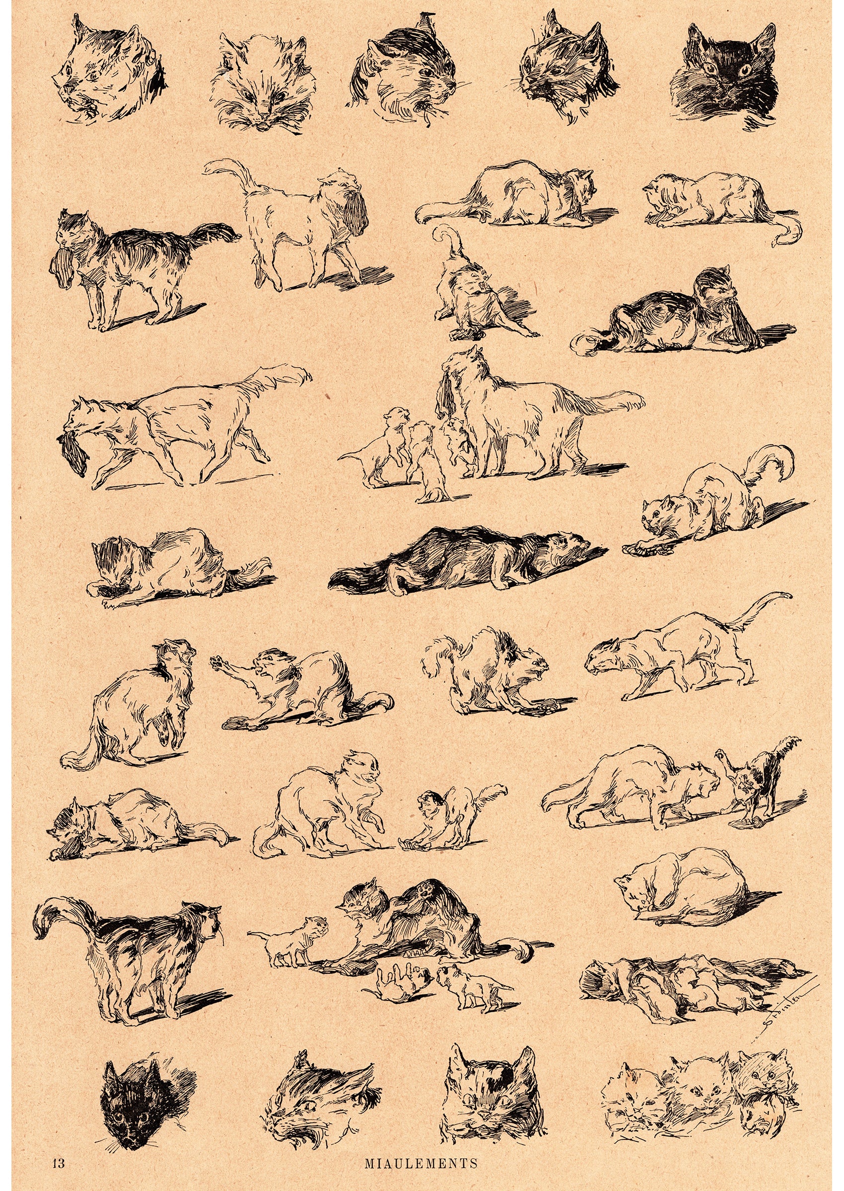 スタンラン ≪猫たちの鳴き声≫ 1898年 『猫たち』よりスキャン画像