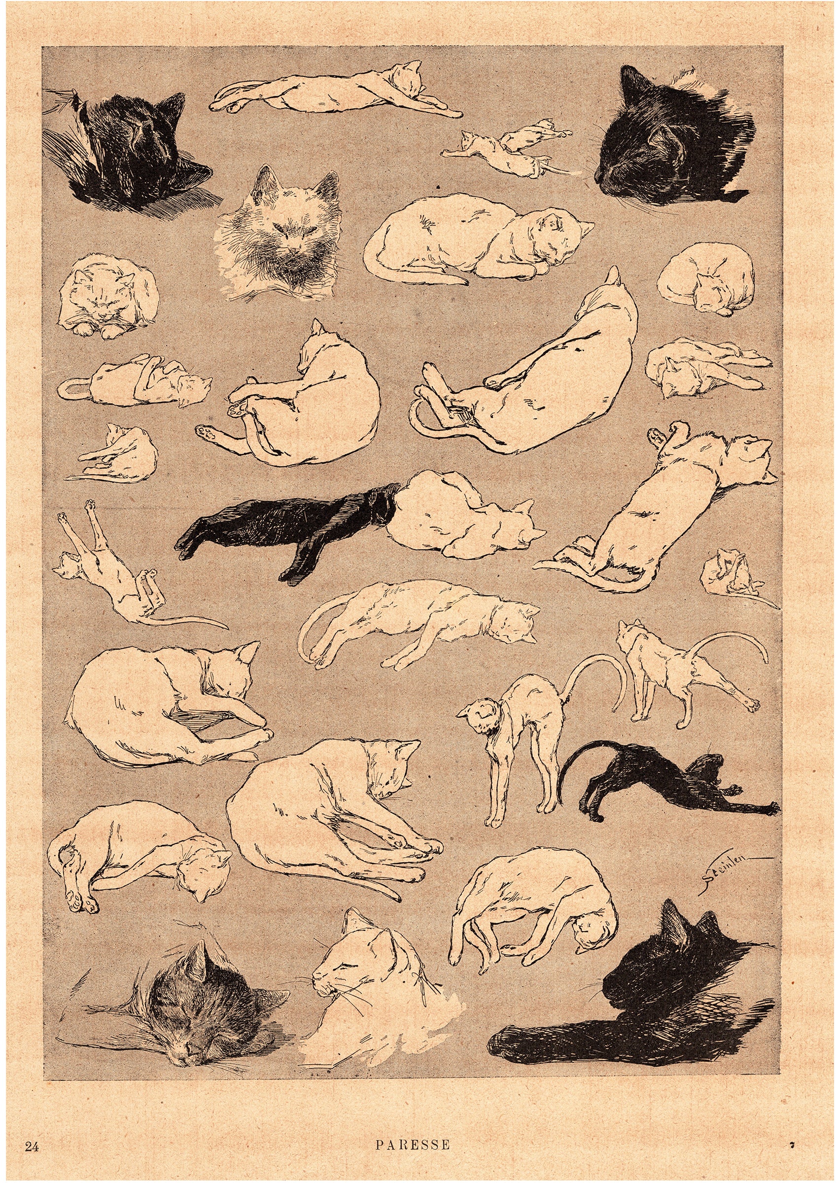 テオフィル・スタンラン ≪怠惰な猫たち≫スキャン画像