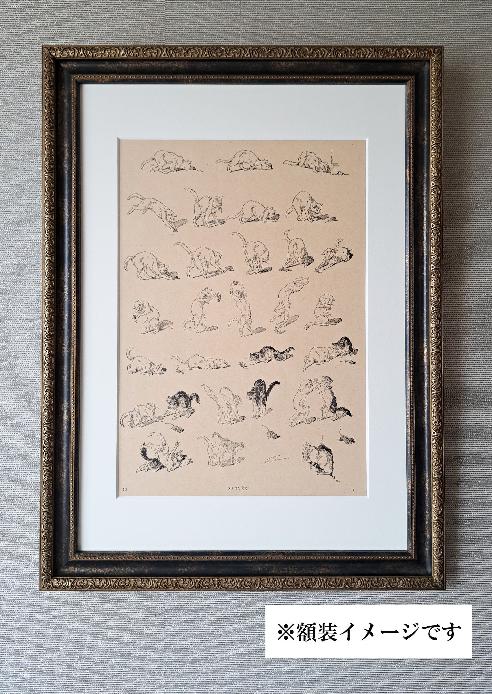 テオフィル・スタンラン ≪助かった!≫『猫たち』より額装写真