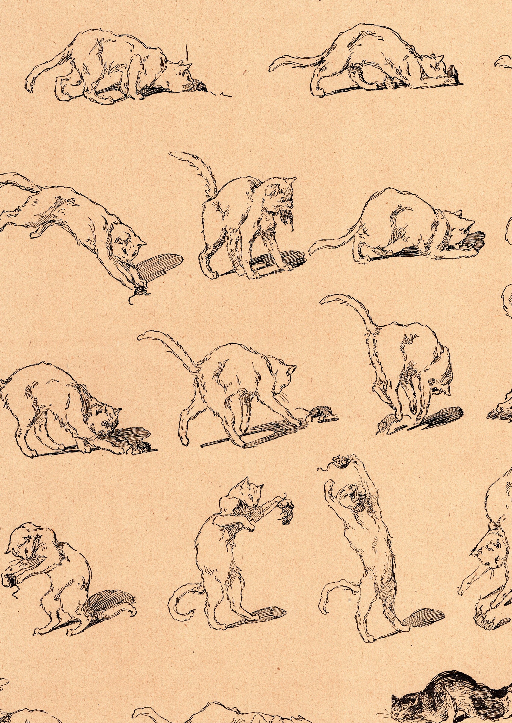 テオフィル・スタンラン ≪助かった!≫『猫たち』より拡大図前半