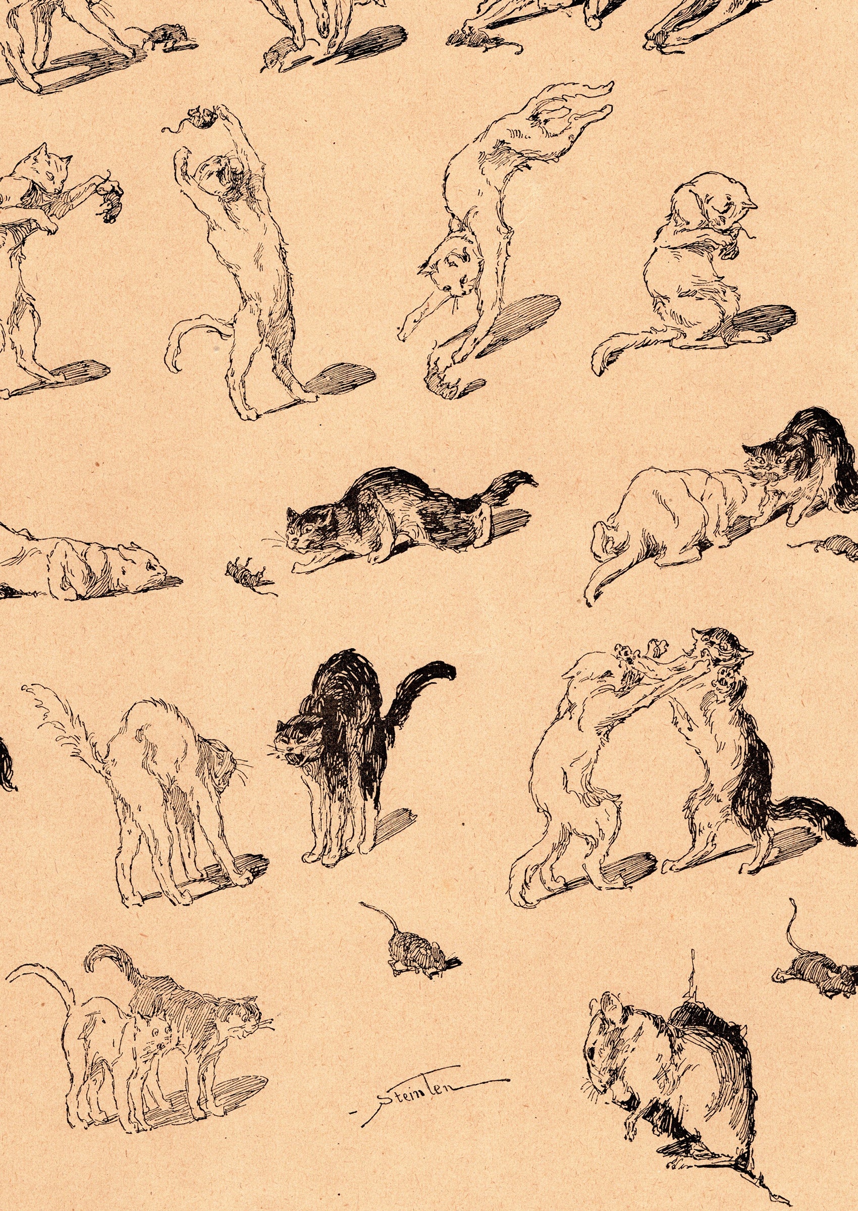 テオフィル・スタンラン ≪助かった!≫『猫たち』より拡大図後半