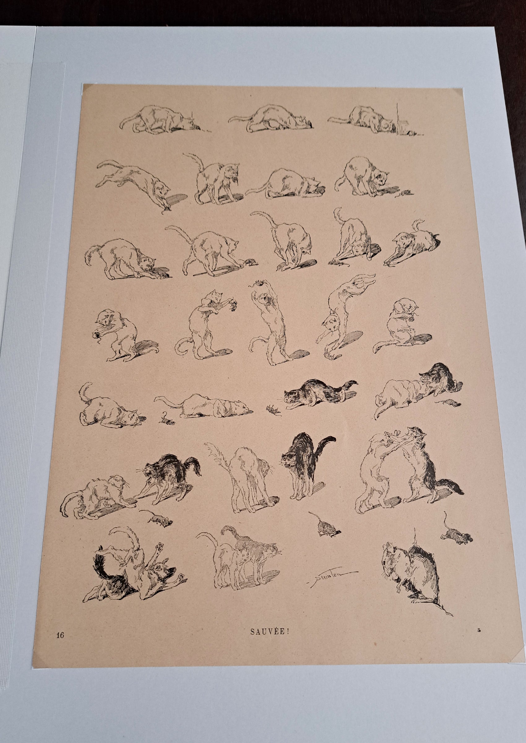 テオフィル・スタンラン ≪助かった!≫『猫たち』より俯瞰写真