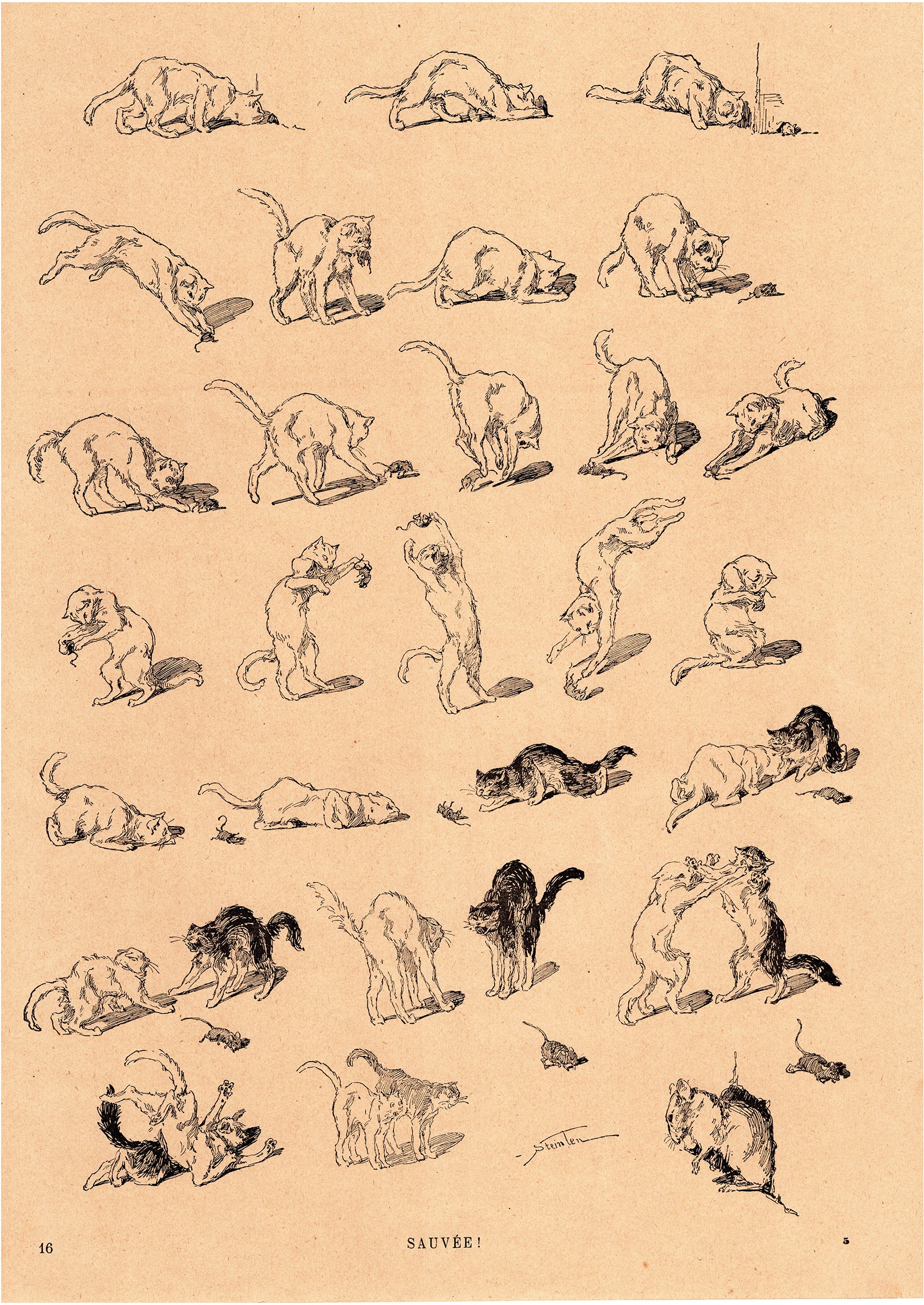 テオフィル・スタンラン ≪助かった!≫『猫たち』よりスキャン画像