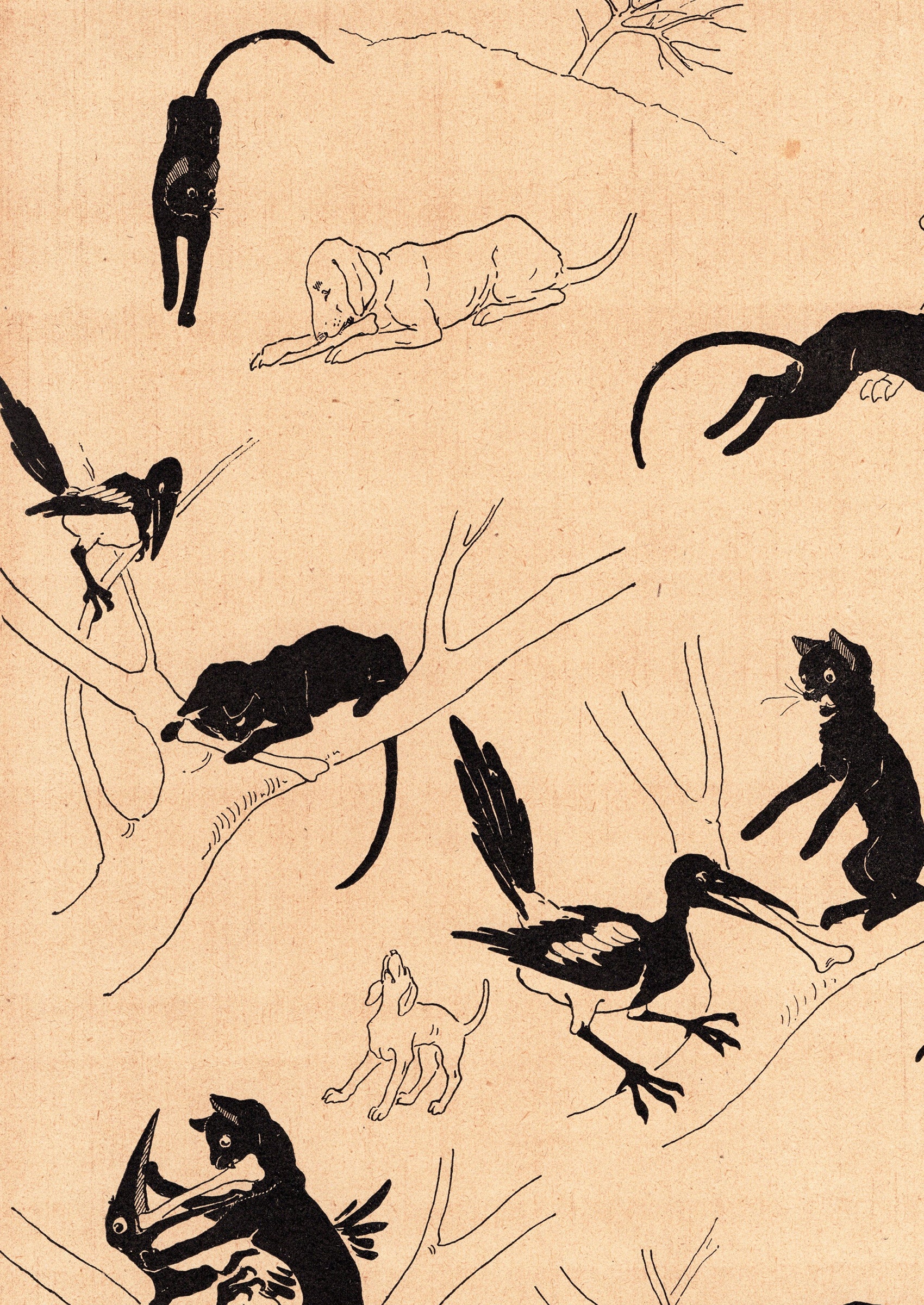 スタンラン ≪猫と犬と鵲の物語(盗まれた泥棒)≫ 1898年 『猫たち』より拡大図前半