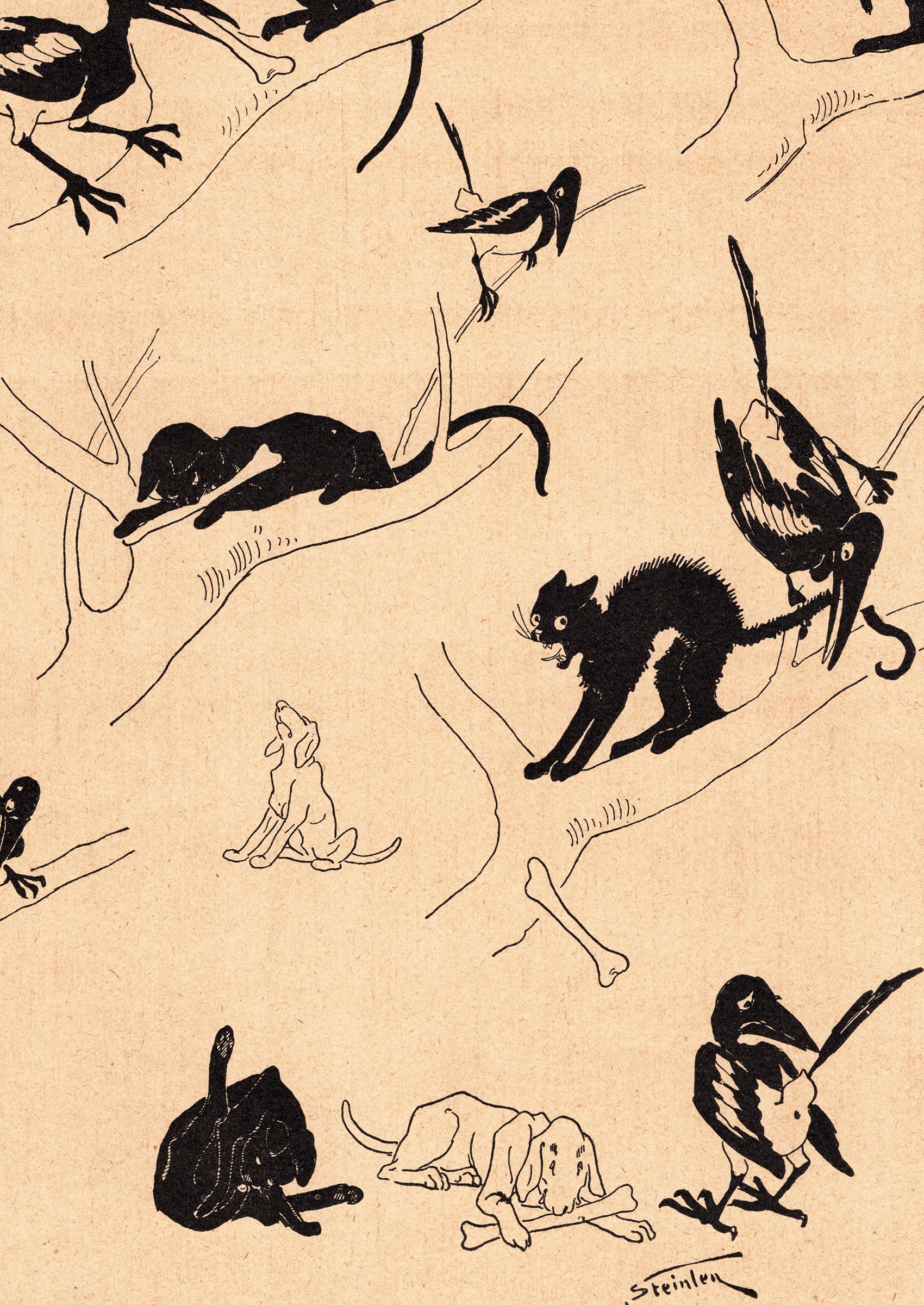 スタンラン ≪猫と犬と鵲の物語(盗まれた泥棒)≫ 1898年 『猫たち』より拡大図後半