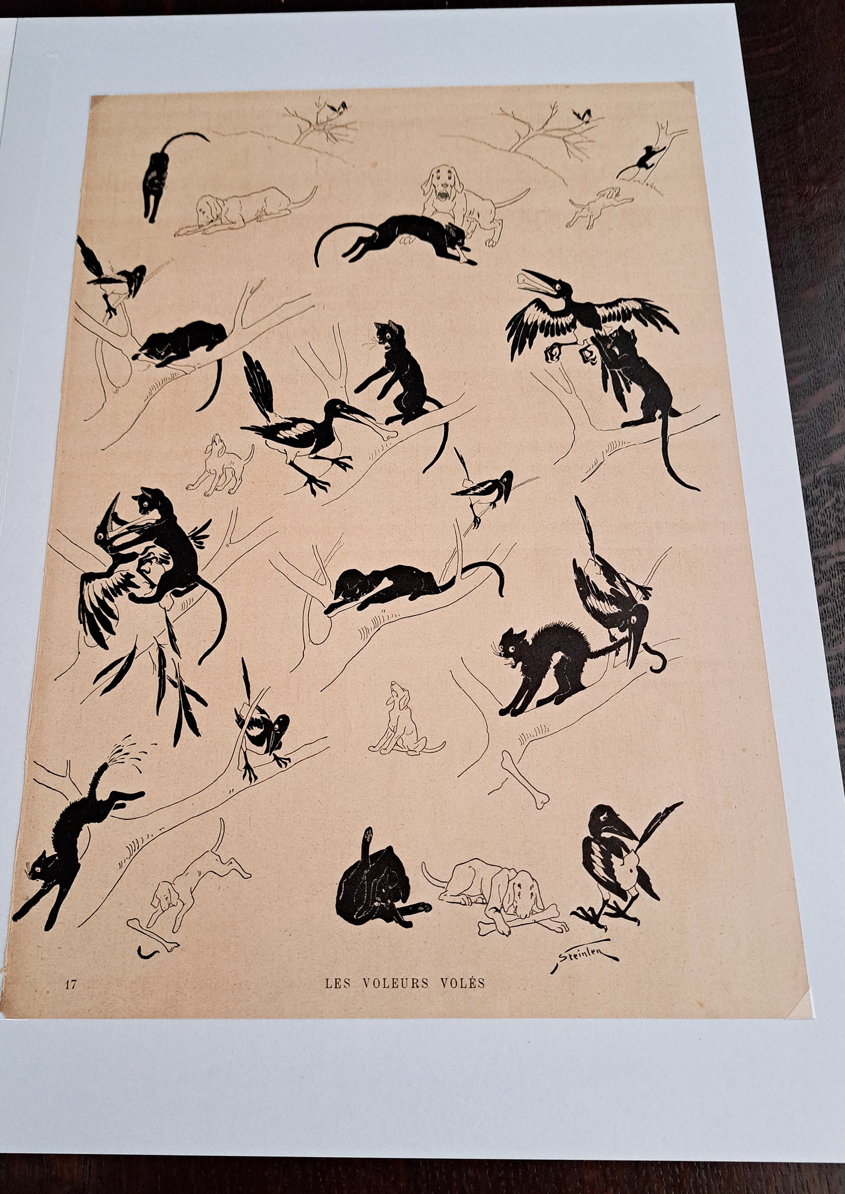 スタンラン ≪猫と犬と鵲の物語(盗まれた泥棒)≫ 1898年 『猫たち』より俯瞰写真