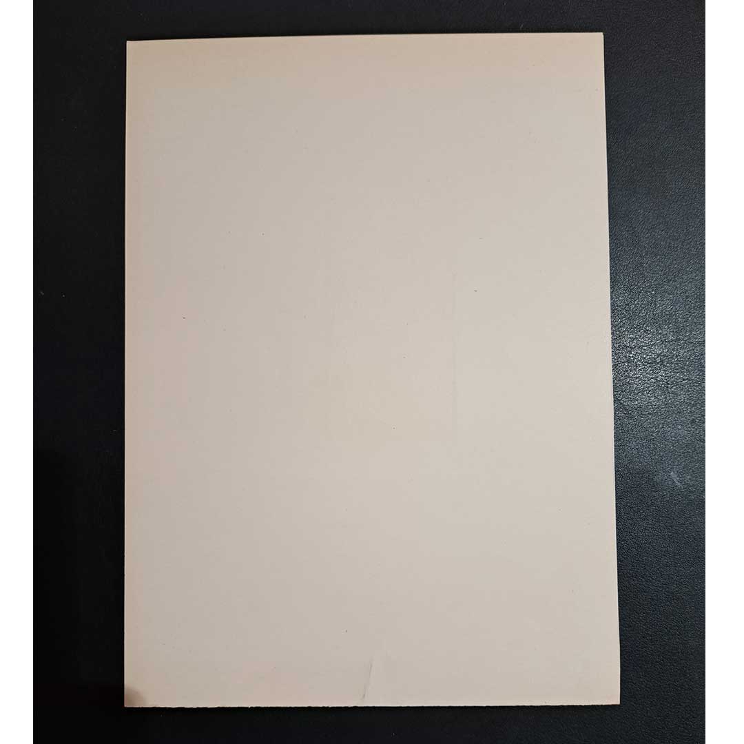 Chapter illustration from Aubrey Beardsley's Le Morte d'Arthur, 1905