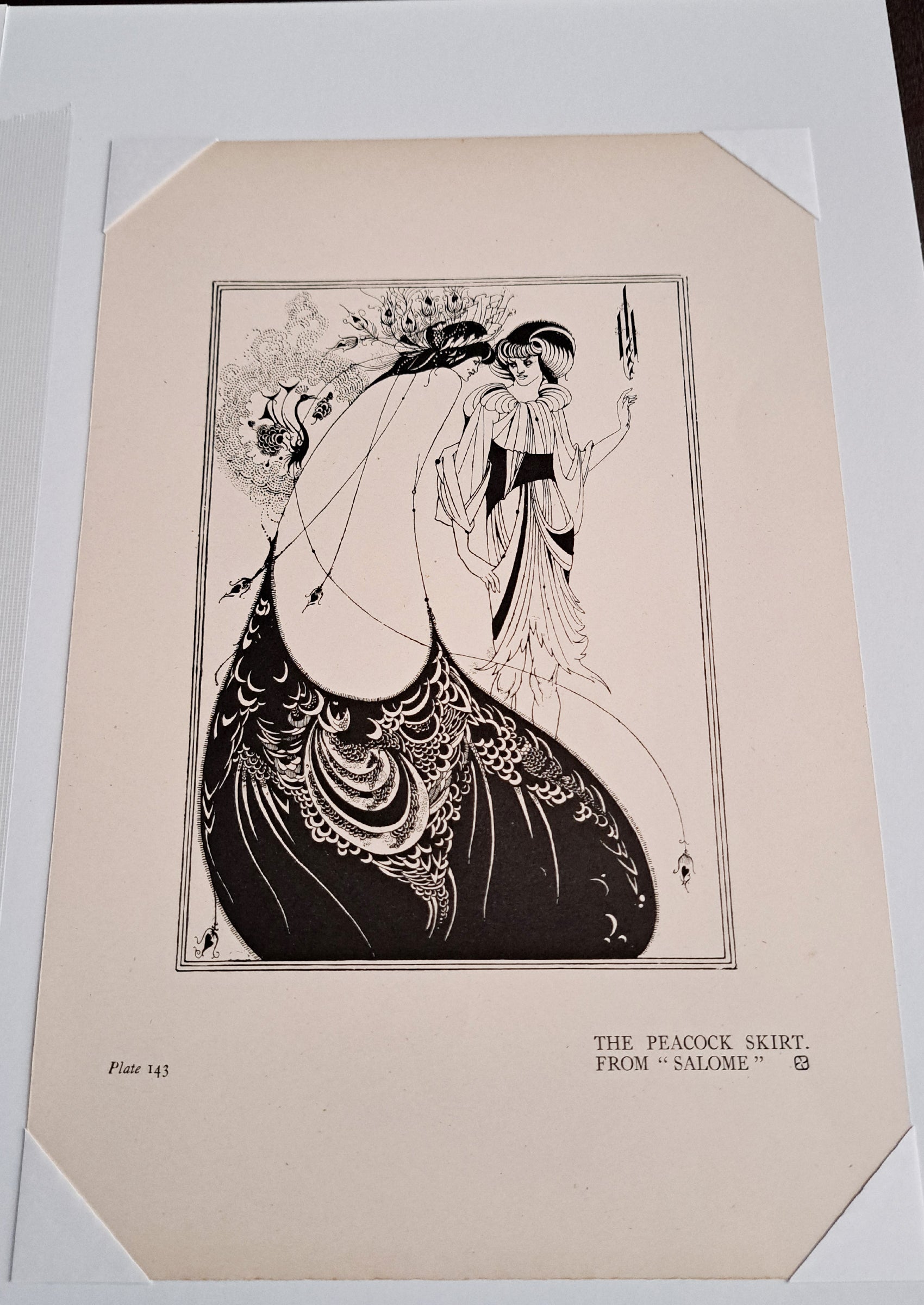 オーブリー・ビアズリーの挿絵 ≪孔雀の裾≫ 『サロメ』俯瞰写真