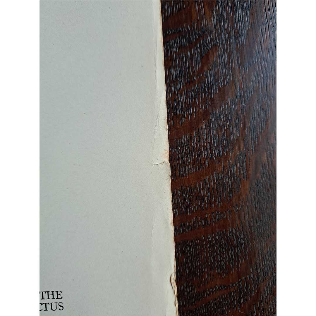 オーブリー・ビアズリー ≪イエロー・ブック出版案内書の表紙≫　1900年頃