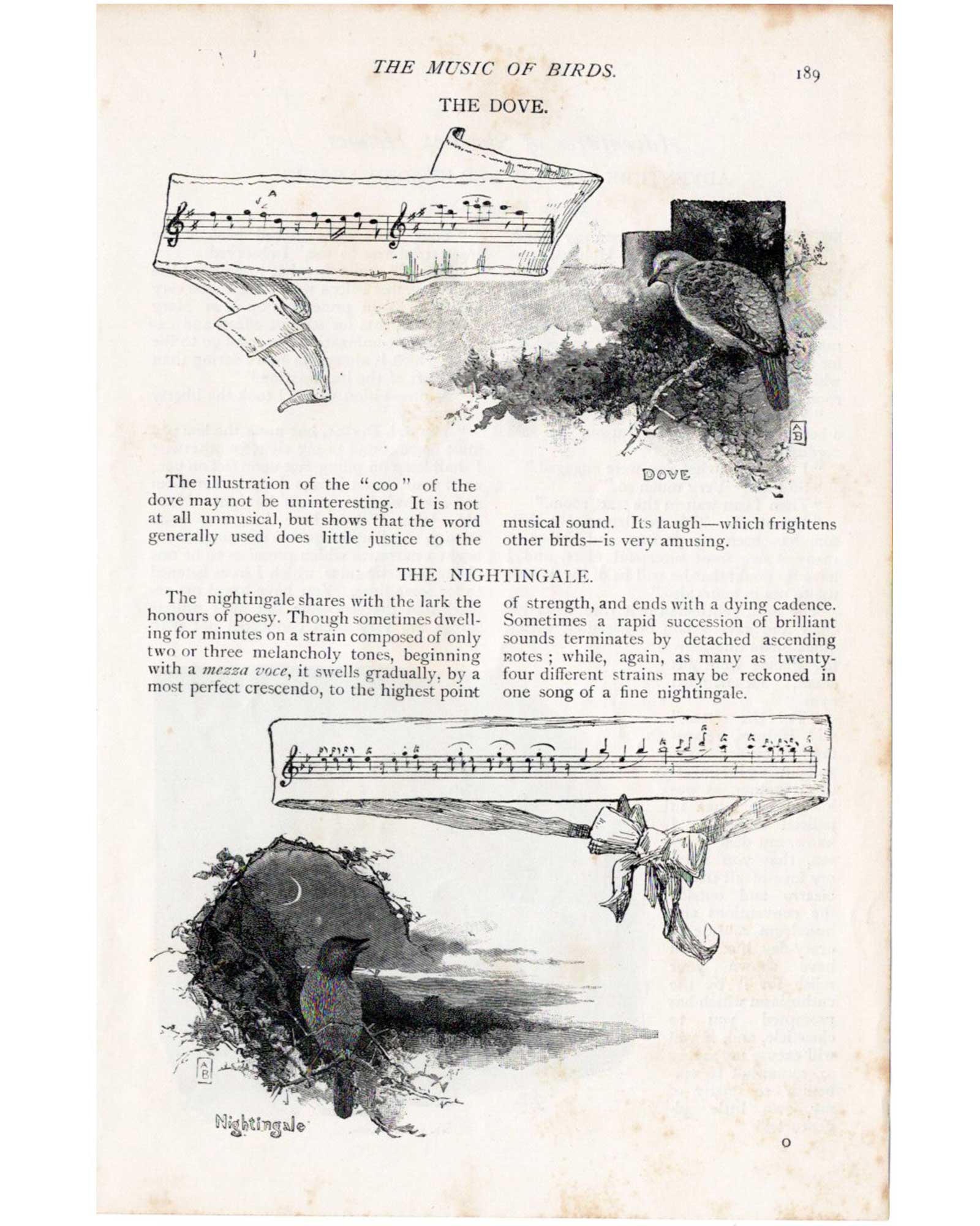 Sherlock Holmes "The Red-Headed League" (title page) / Sidney Paget (1891)