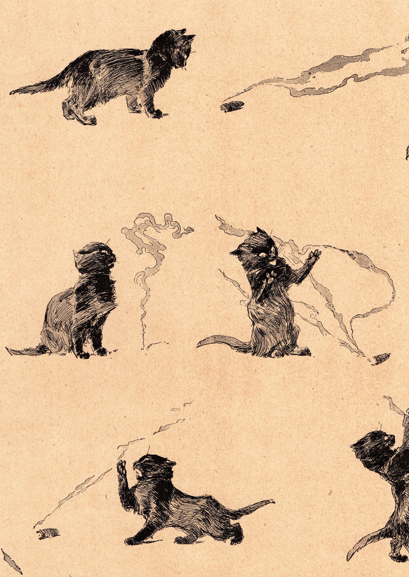スタンラン ≪黒猫と葉巻≫ 1898年 『猫たち』より 拡大図前半