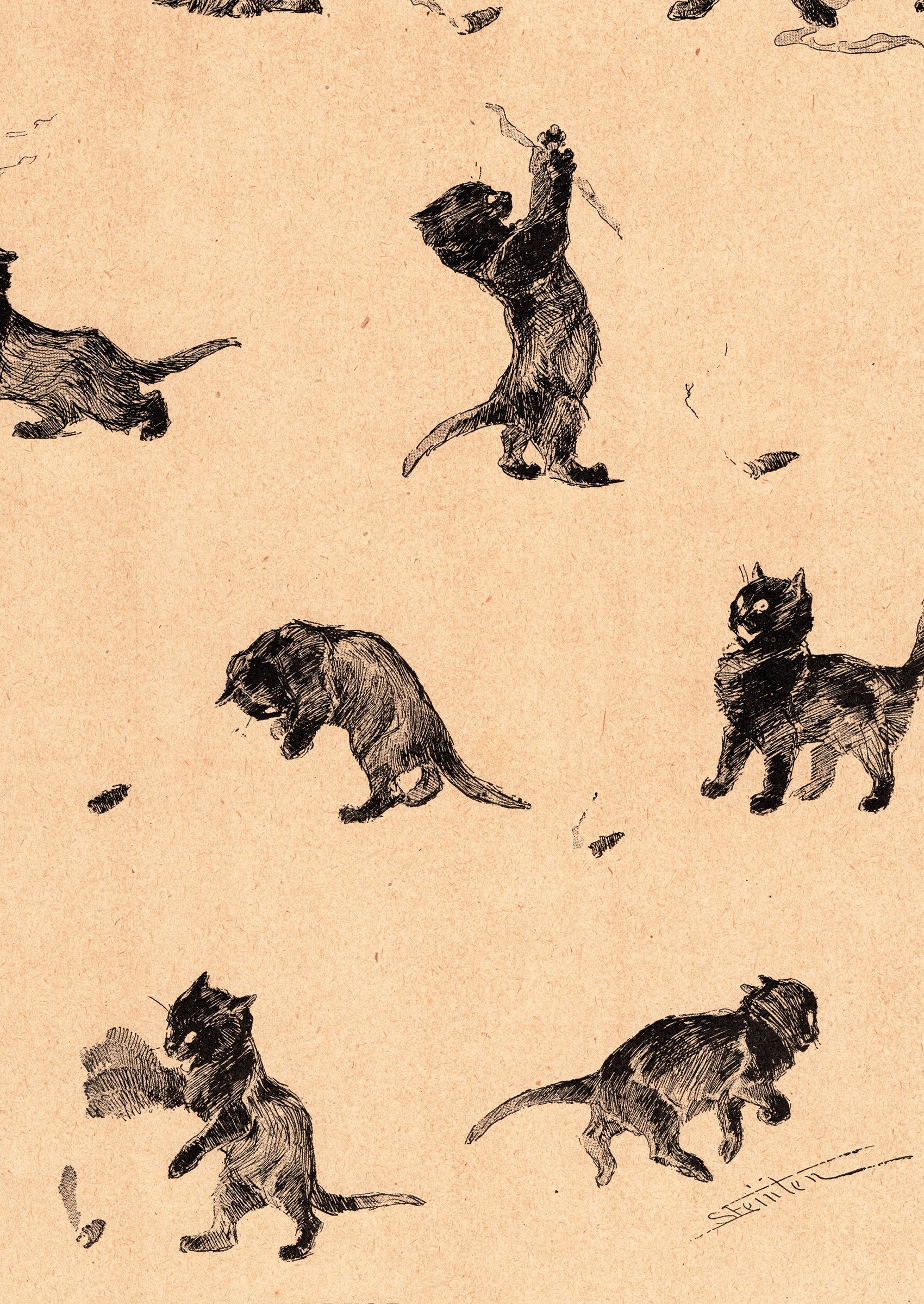スタンラン ≪黒猫と葉巻≫ 1898年 『猫たち』より 拡大図後半