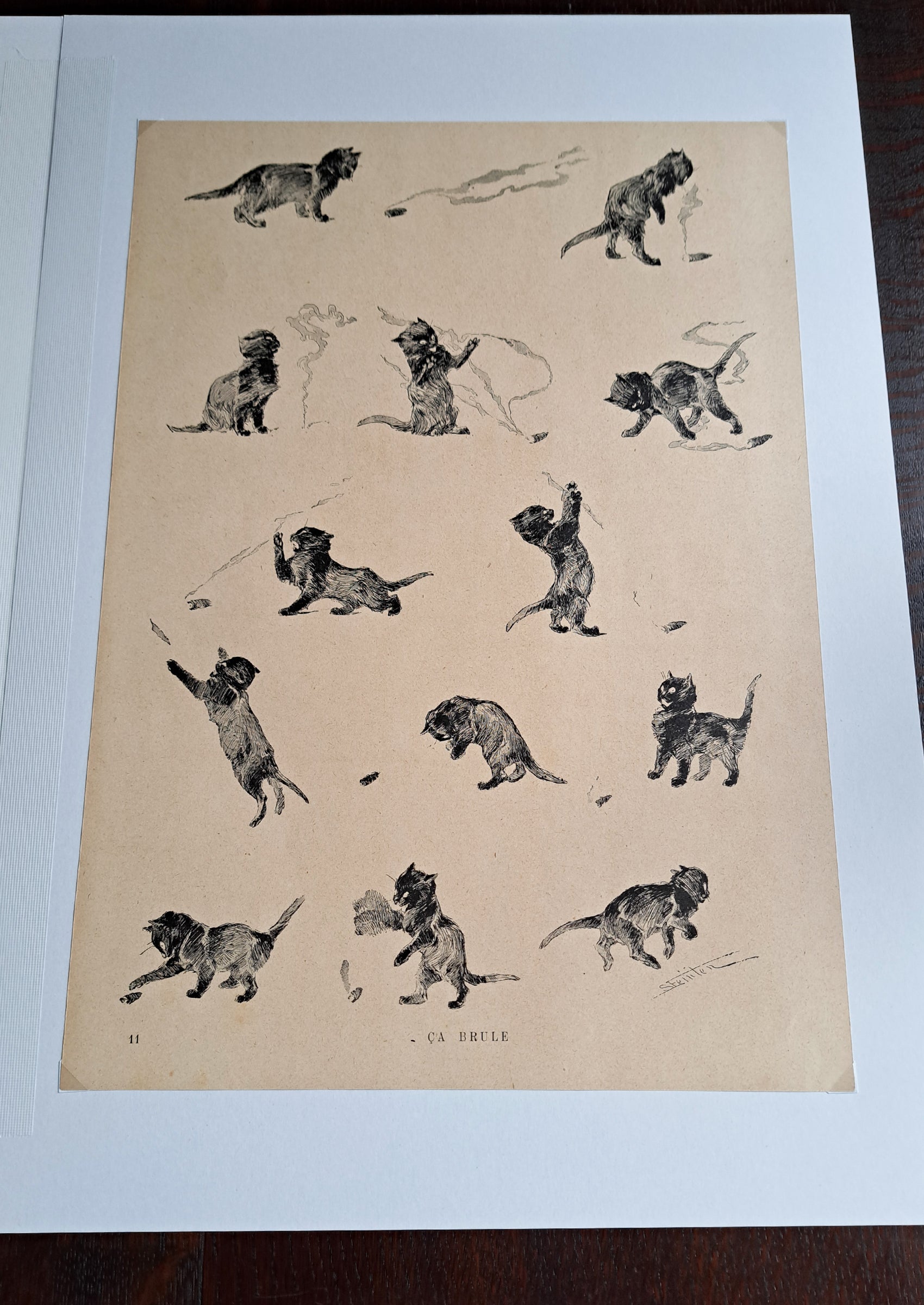 スタンラン ≪黒猫と葉巻≫ 1898年 『猫たち』より 俯瞰写真