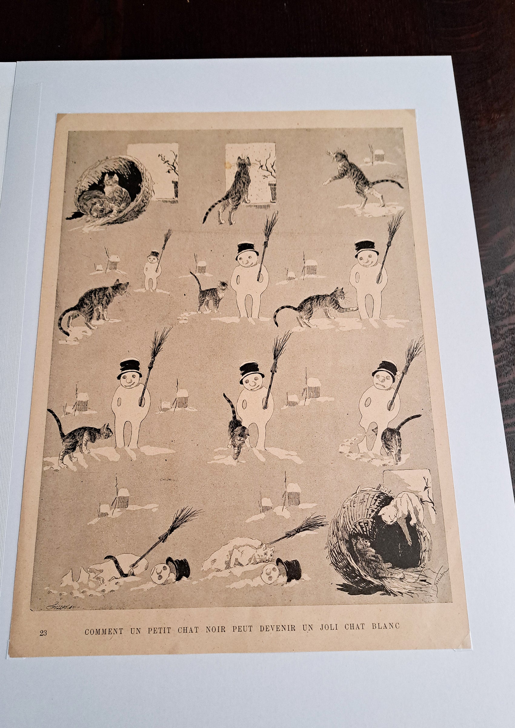 スタンラン ≪どのようにして黒猫が美しい白猫になったか≫ 1898年 『猫たち』より俯瞰写真