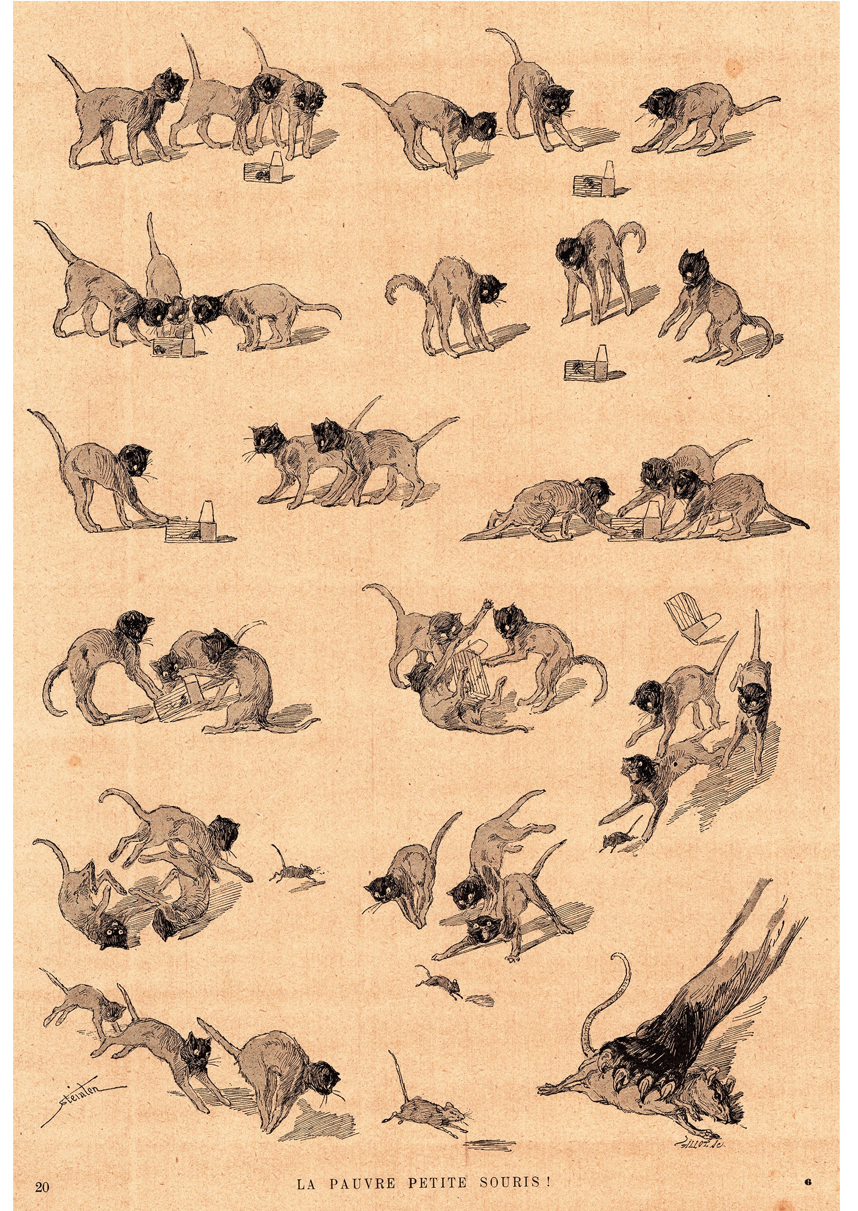 スタンラン ≪かわいそうな子ネズミ≫ 1898年 『猫たち』よりスキャン画像