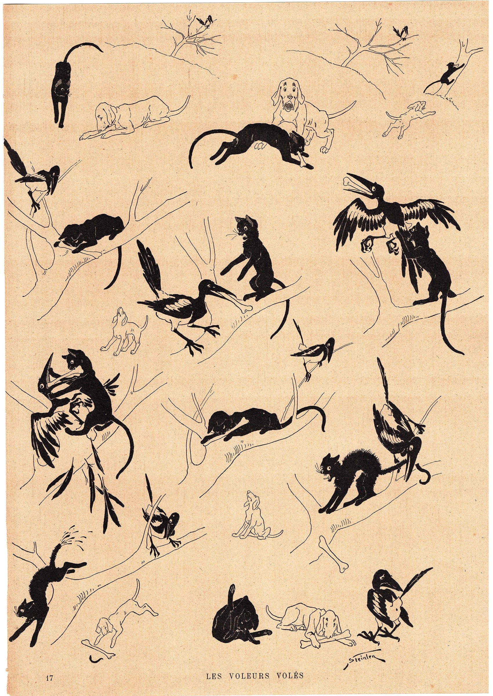 スタンラン ≪猫と犬と鵲の物語（盗まれた泥棒）≫ 1898年 『猫たち』よりスキャン画像